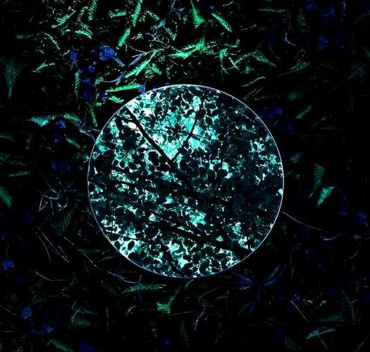 镜花水月与镜中世界的奇幻探索