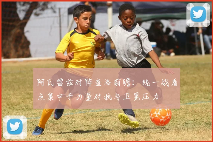 阿瓦雷兹对阵查洛前瞻：统一战看点集中于力量对抗与卫冕压力