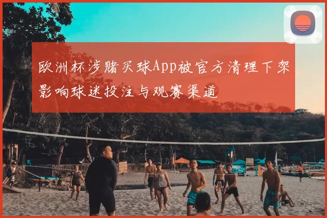 欧洲杯涉赌买球App被官方清理下架影响球迷投注与观赛渠道