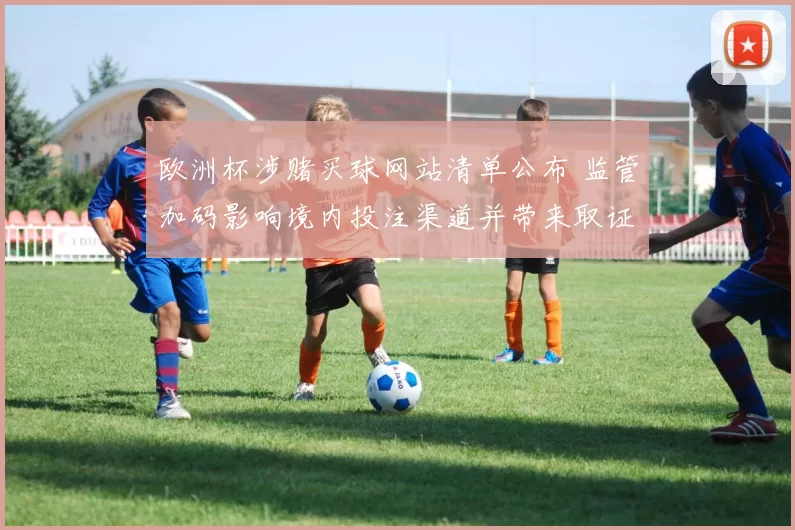 欧洲杯涉赌买球网站清单公布 监管加码影响境内投注渠道并带来取证难点