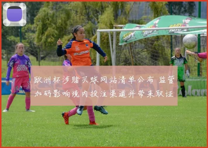 欧洲杯涉赌买球网站清单公布 监管加码影响境内投注渠道并带来取证难点